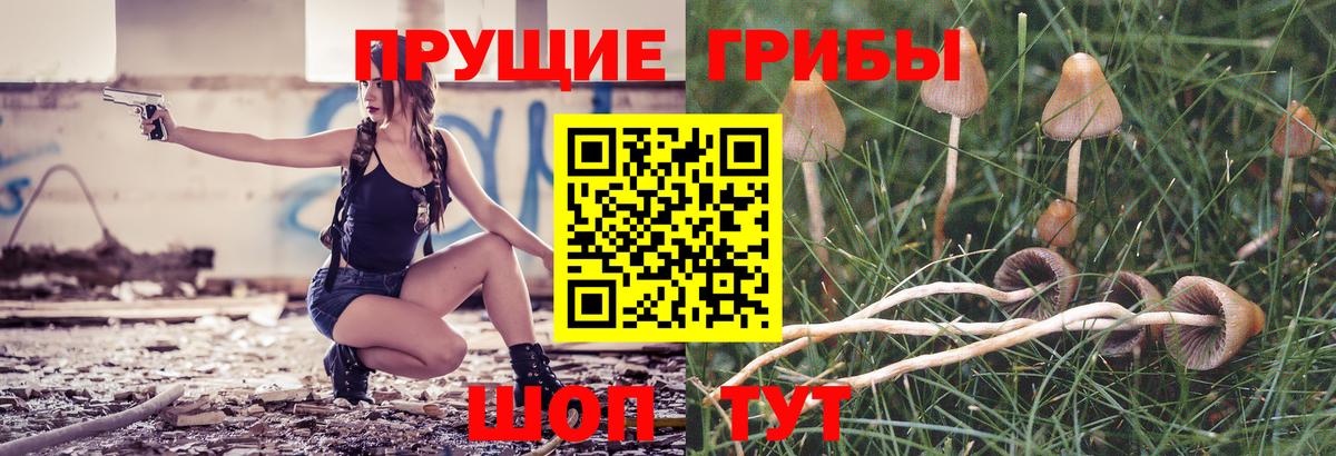 Галлюциногенные грибы Psilocybine cubensis  Вход с VPN  даркнет сайт  Вольск 
